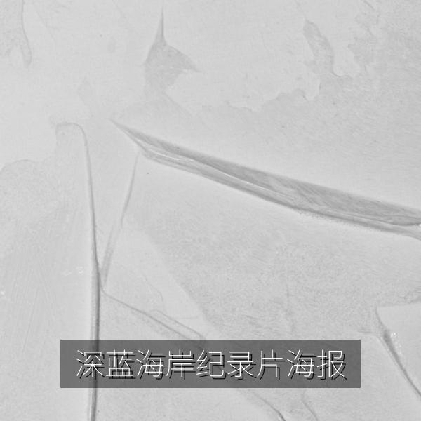 深蓝海岸纪录片海报